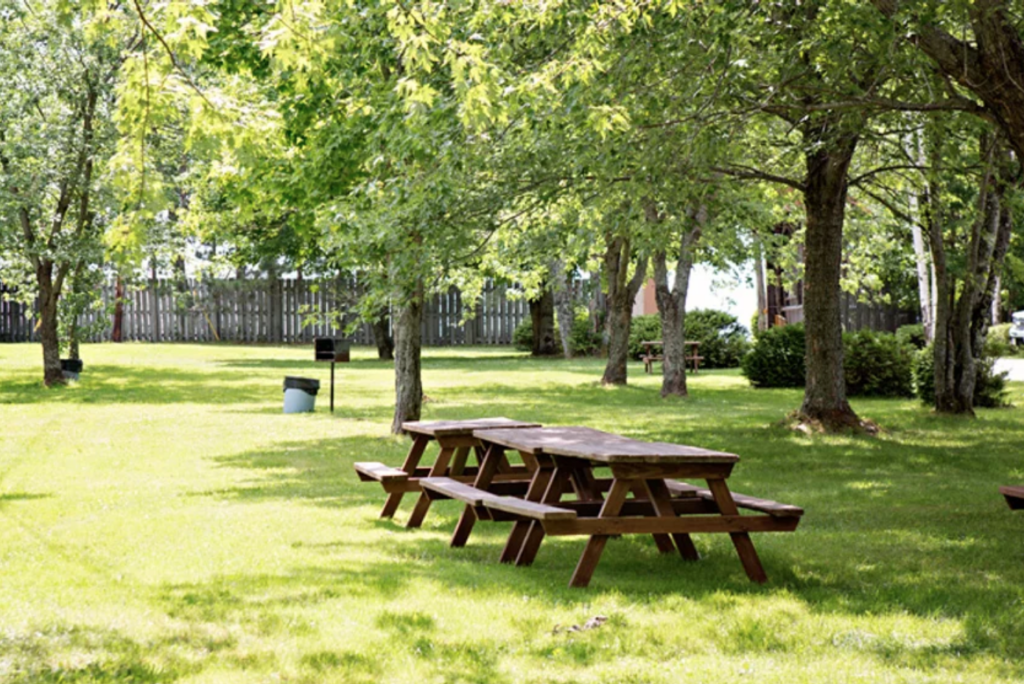 Paradis de la Petite Montagne Parks and Campground Owners